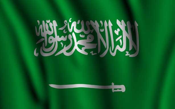 لماذا أنشأت السعودية أكبر تحالف دول سنيّة في العالم؟