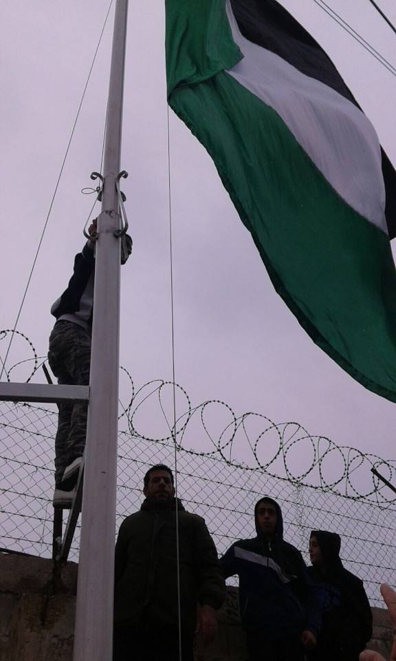 بالصور.. رفع أكبر علم فلسطيني في عين الحلوة