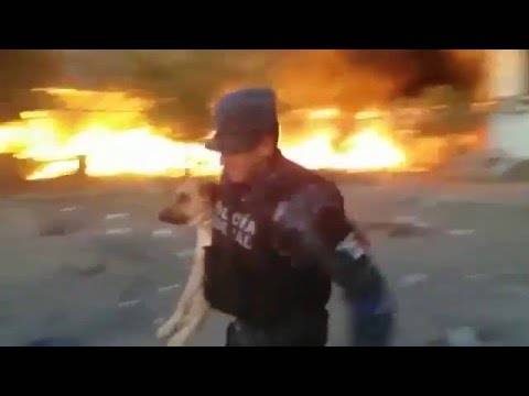بالفيديو: شرطي يخاطر بحياته لينقذ كلباً من حريق