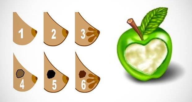 4 أطعمة تمنع سرطان الثدي..اكتشفيها لأول مرة!‎