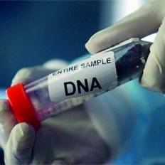 بالفيديو: حقائق مدهشة عن الحمض النووي (DNA)