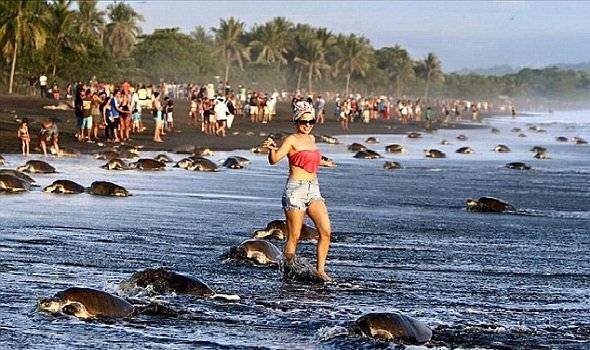 أشهر طرائف وحوادث السياح في العام 2015 حول العالم