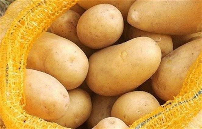 تحذير خطير: 7 اطعمة يجب عدم إعادة تسخينها مطلقاً!!