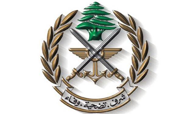 مقاتلتان معاديتان نفذتا طيرانا دائريا