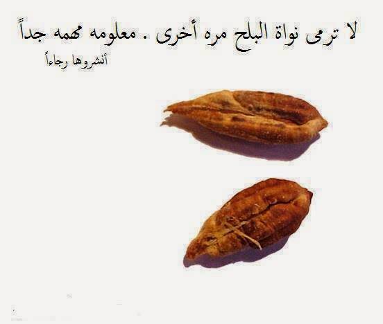 هام جداً : لا ترمي نواة البلح بعد اليوم والسبب
