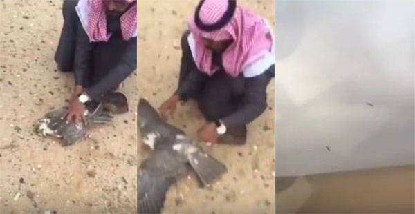 فيديو: لحظة اصطدام صقر بسيارة سعودي في الصحراء