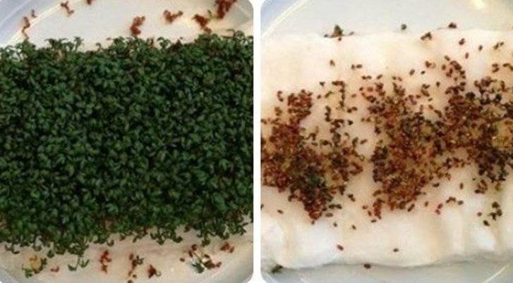 لن تجرؤ على النوم بجوار هاتفك بعد رؤية هذه الصورة المرعبة!