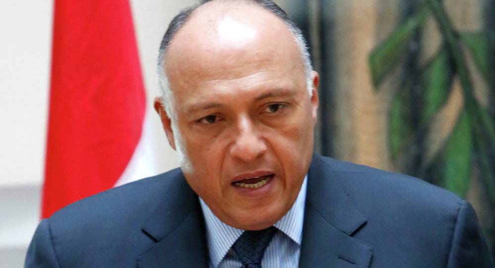 شكري: لا وساطة سعودية بين مصر وتركيا