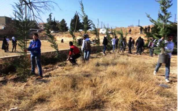 حملة تشجير شبابية
في بلدة يونين