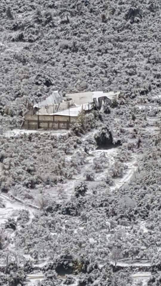 بالصور: هذا ما دمّرته العاصفة في عكّار!