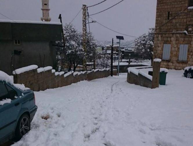 بالفيديو: "الجنرال" الابيض في إهدن