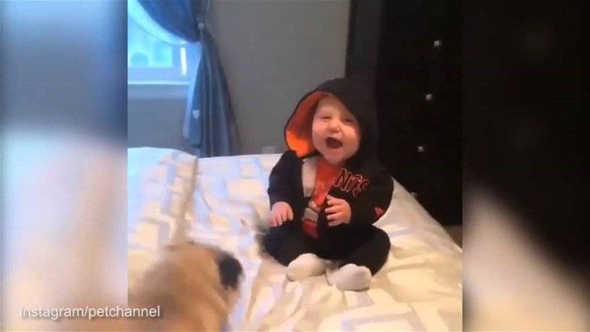 فيديو يحظى بـ 7 ملايين مشاهدة.. والسبب؟