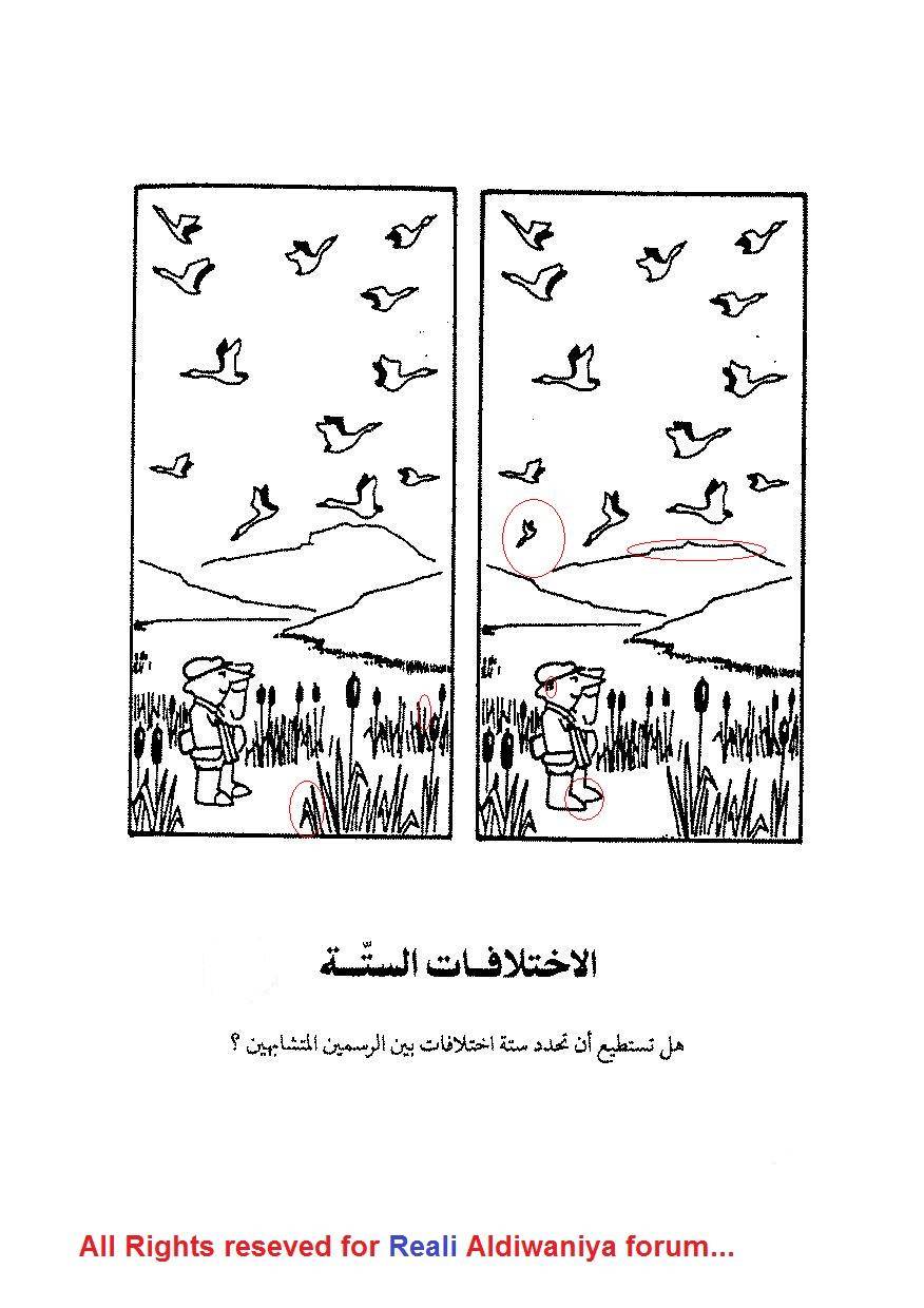للأذكياء فقط...حزازير مذهلة.. اكتشفها الآن!
