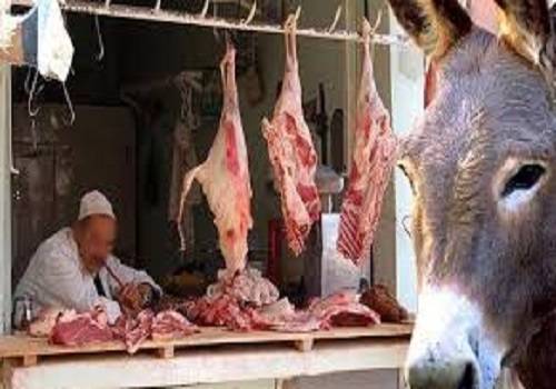 بالصور.. ضبط 7 حمير قبل ذبحها وبيعها