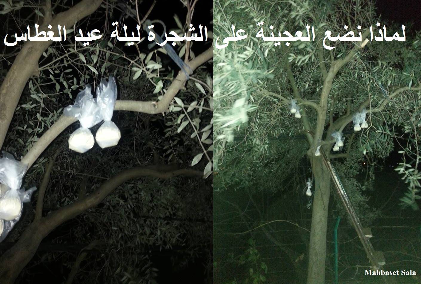 لماذا نضع العجينة على الشجرة ليلة عيد الغطاس؟