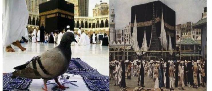 فيديو- ما السر وراء عدم تحليق الطيور والطائرات فوق الكعبة المشرفة!
