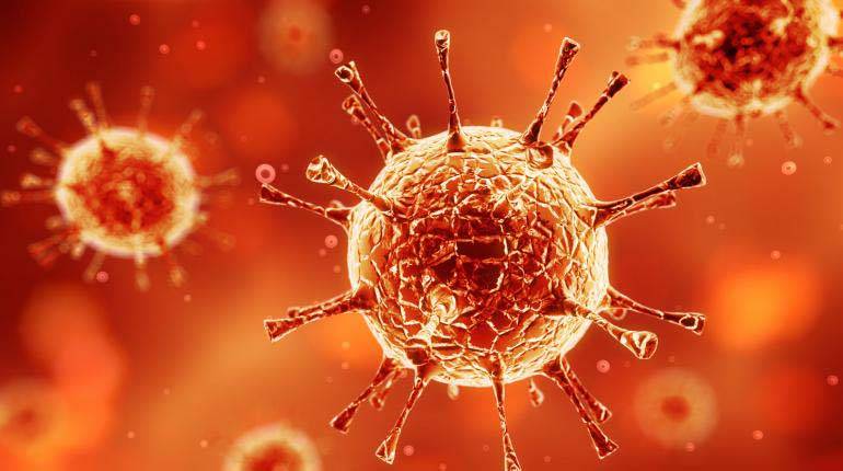 أشياء خطيرة يجب ان تعرفها عن فيروس إيبولا Ebola!