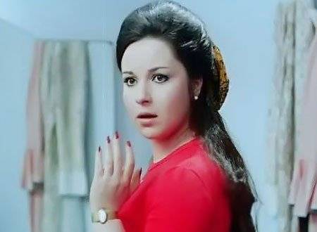 تعرفوا على الجنسيات الأصلية لأشهر النجوم العرب