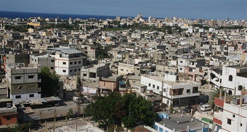 سقط 