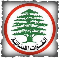مصادر قواتية للجديد: التنسيق شبه يومي مع الرابية
