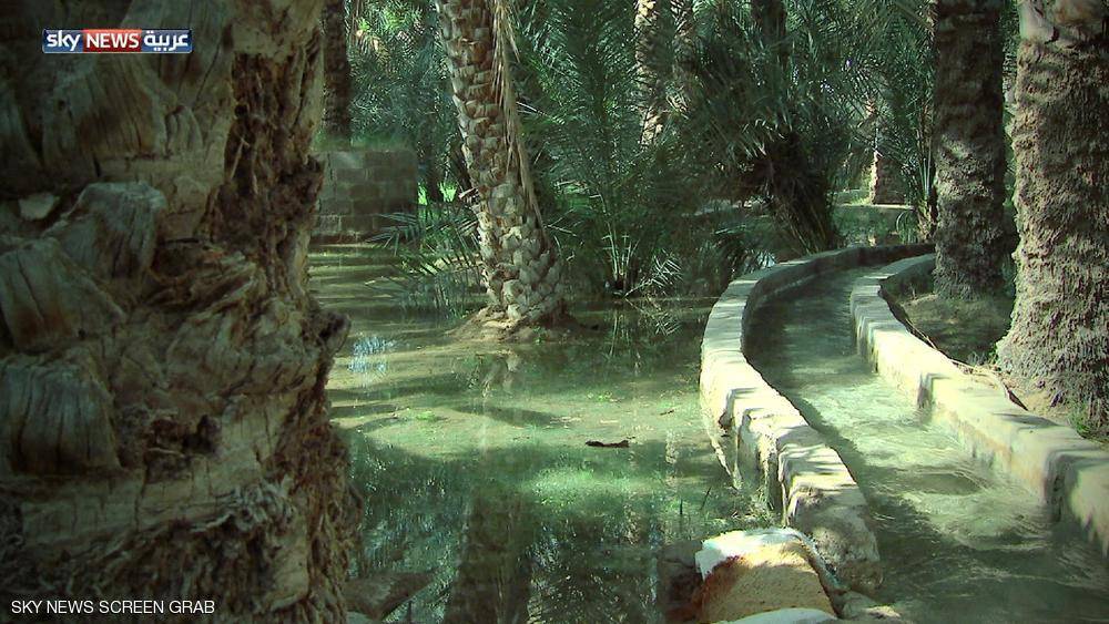 الأفلاج.. معلم المنطقة الشرقية في الإمارات