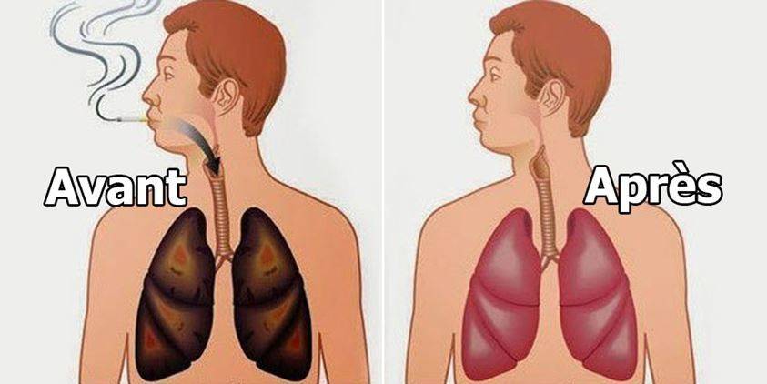 4 مأكولات مدهشة.. لتنظيف رئتيك