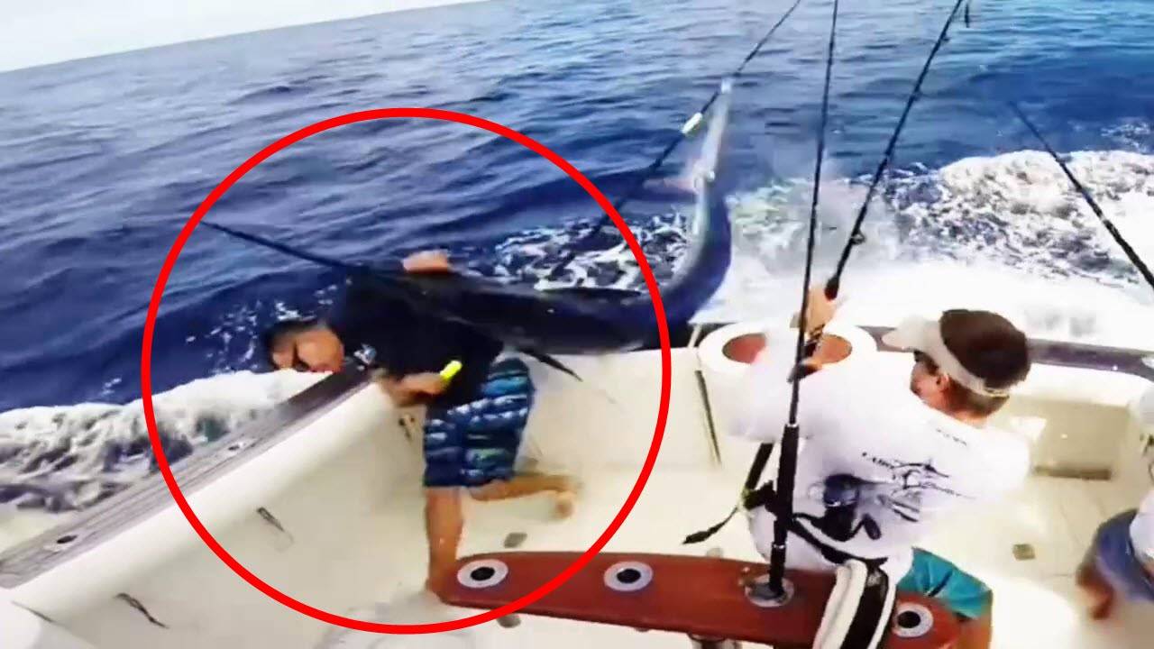 بالفيديو.. نجاة صياد بأعجوبة من الموت بواسطة سمكة “أبو سيف”