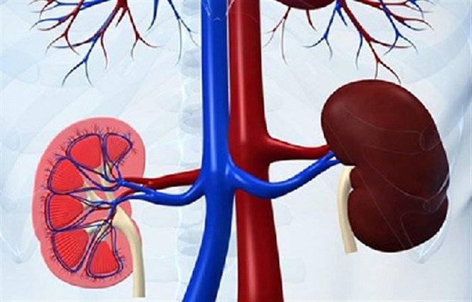 أقراص تهدئة حرقة المعدة قد تؤدي لهذا المرض...