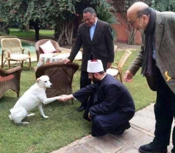 شيخ مصري يصافح كلباً.. لن تصدق ما حدث