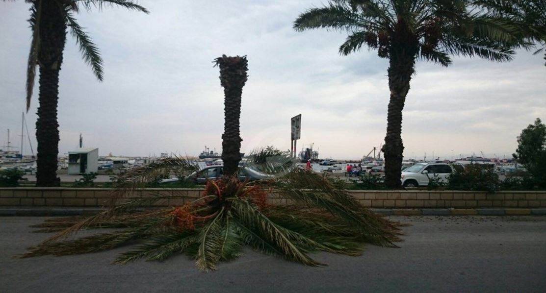توقف حركتي الملاحة والصيد البحري في ميناء صيدا بسبب العاصفة