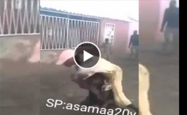 بالفيديو: شاهد زوجة تقضى على زوجها بالضربة القاضية أثناء مشاجرة مثيرة فى الطريق العام!