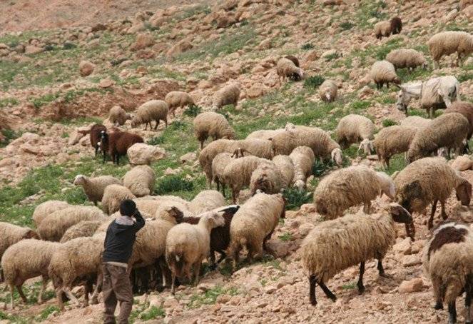 أطنان من 