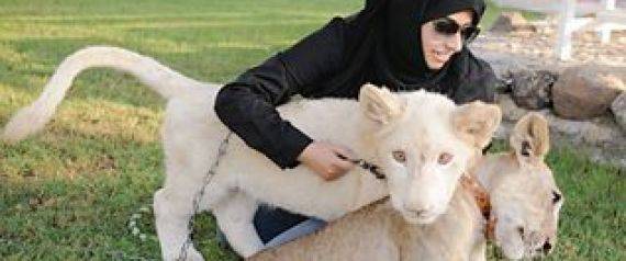هذه هي عقوبة تربية وبيع الحيوانات المفترسة في الإمارات
