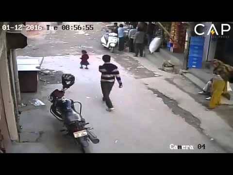 بالفيديو: طفلة تنجو من الموت رغم مرور سيارة فوقها