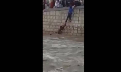 بالفيديو انقاذ بطولي لشاب جرفه السيل