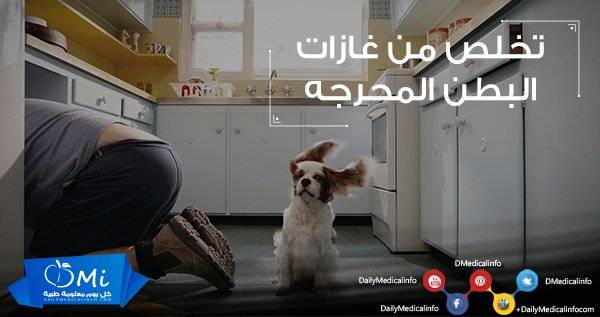 أسباب غازات وانتفاخات البطن وكيفية التخلص منها بطرق منزلية