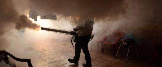 فيروس زيكا يثير رعب الأميركيتين وتحذيرات من سفر النساء لـ20 دولة