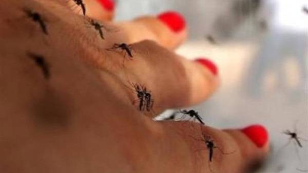 أكثر من 2100 امرأة حامل مصابة بفيروس زيكا في كولومبيا