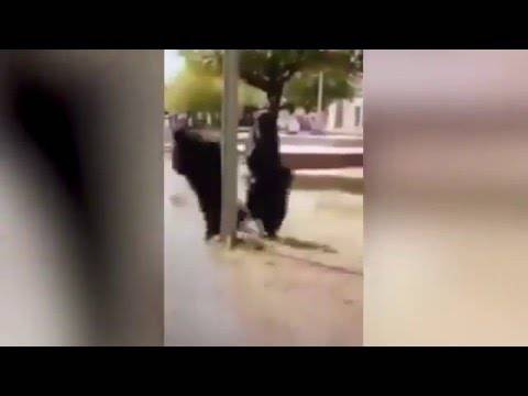 امرأة ترتدي البرقع تصطدم بعمود إنارة و تقع.. هل هذا كل شيء؟  بالفيديو