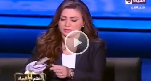 بالفيديو.. لماذا أستضافت مذيعة مصرية تمساحاً على الهواء!