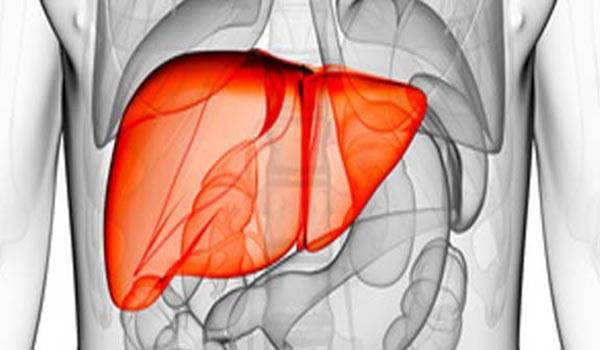 3 علاجات قديمة خارقة من أجل تنظيف الكبد