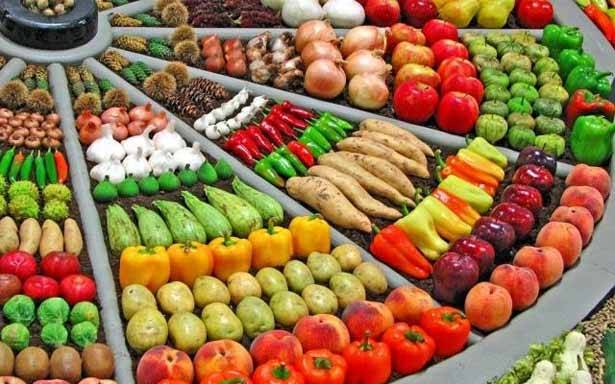 نقابة تجّار الخضار : لإطلاق العمل
في السوق المركزي على أرض جلول