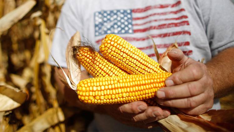 روسيا تفرض حظرا على عدد من المنتجات الزراعية الأمريكية