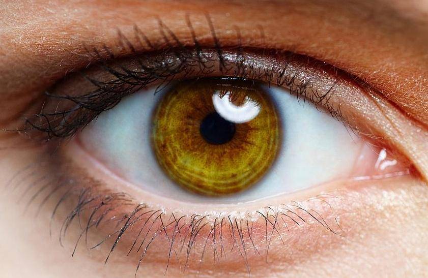 بهذه الطريقة يمكن ان تعرف التوجه السياسي للشخص!