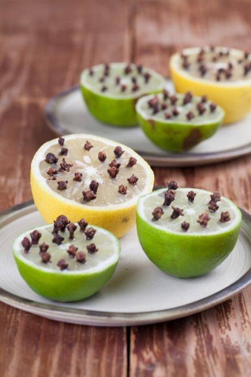 5 أفكار مذهلة لطرد الذباب من المطبخ