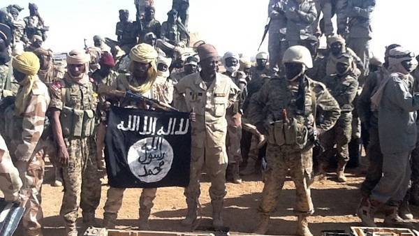 القضاء على أكثر من 90 من عناصر " بوكو حرام" شمالي نيجيريا في عملية للجيش النيجيري