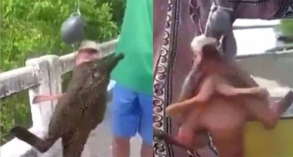 سمكة غريبة بساقين تثير رعب الصيادين  فيديو