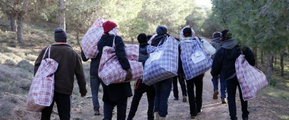 هل تنجح ألمانيا في إعادة مهاجري تونس والمغرب والجزائر إلى بلادهم؟