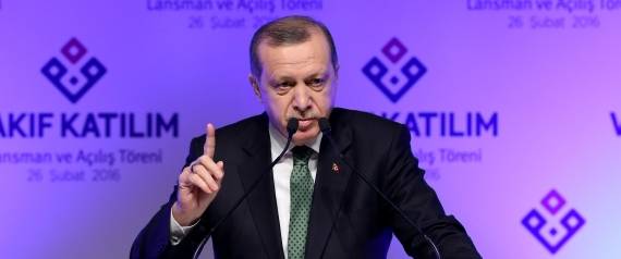أردوغان: وقف إطلاق النار يشمل ثلث سوريا فقط