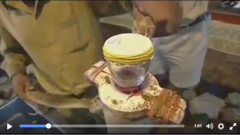 شاهدوا ماذا تفعل قطرة من سم الحيّة في دم الإنسان!